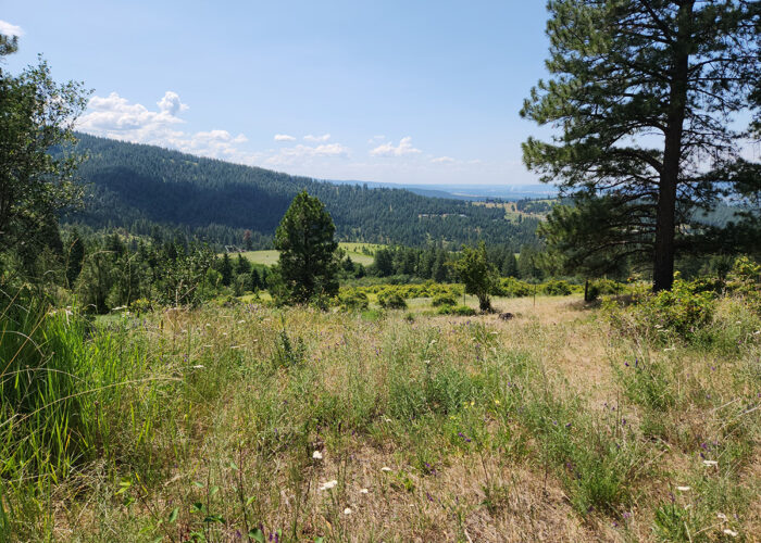 Inland NW Land Conservancy