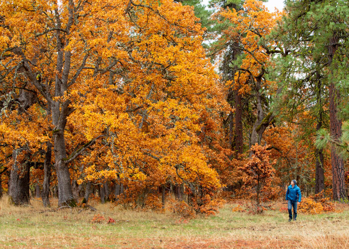 Columbia Land Trust