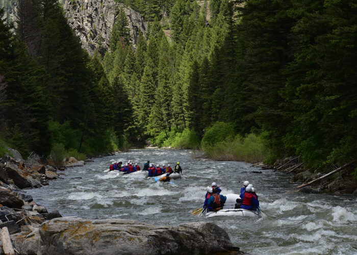 Gallatin River Task Force