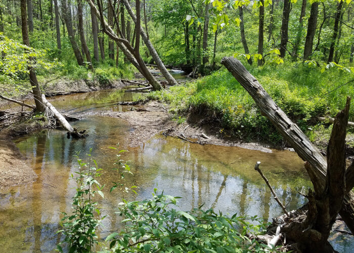 Indiana Forest Alliance