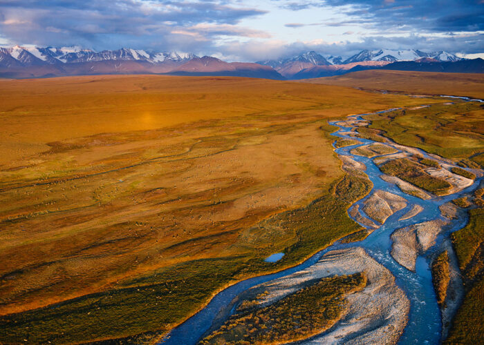 Alaska Wildlife League