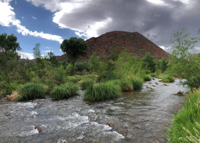 American Rivers