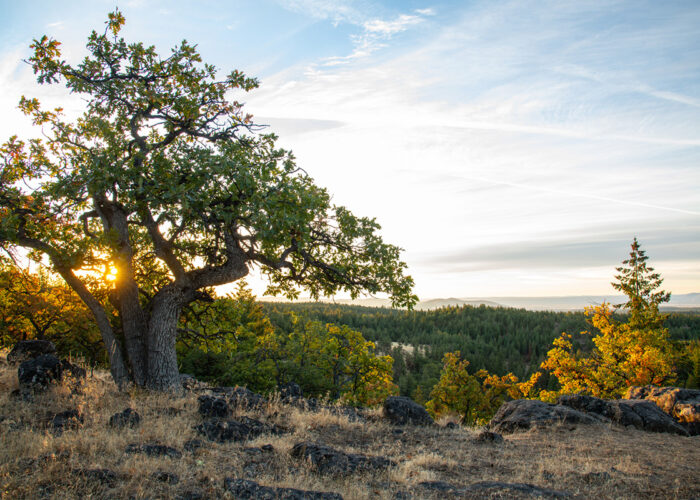 Columbia Land Trust