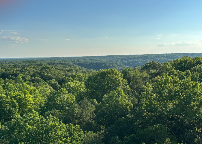 Indiana Forest Alliance