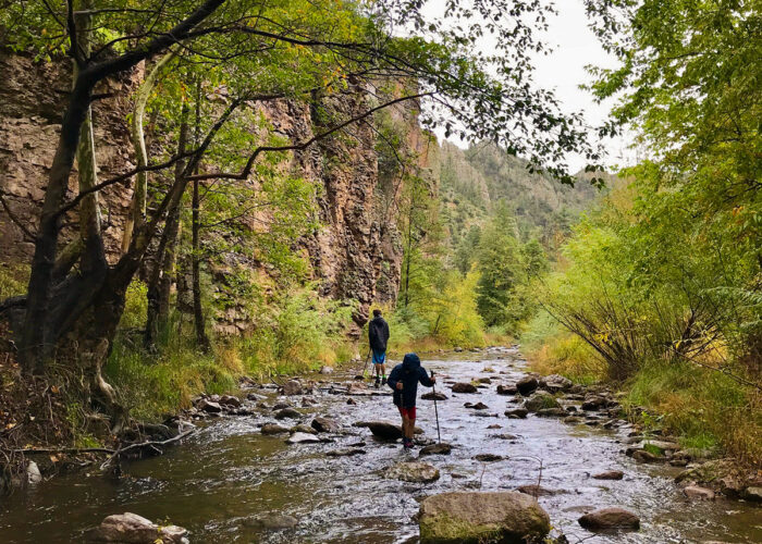 New Mexico Wild
