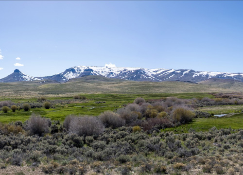 Disaster Peak Ranch