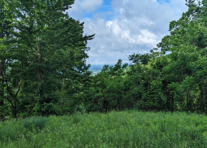 Trust for Public Land