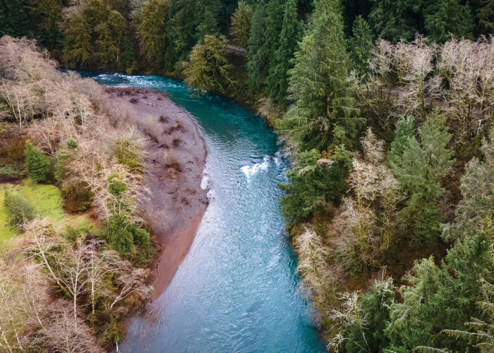 Wild Salmon Center