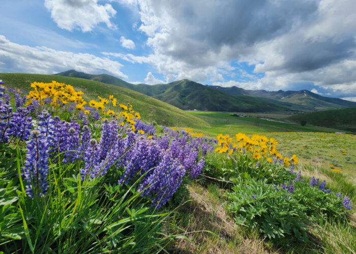 Wood River Land Trust