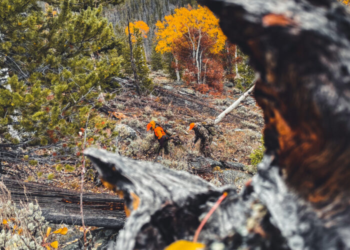 Wyoming Wildlife Federation