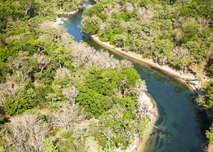 Alachua Conservation Trust