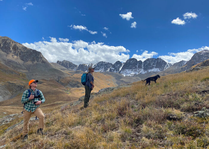 The Wilderness Land Trust