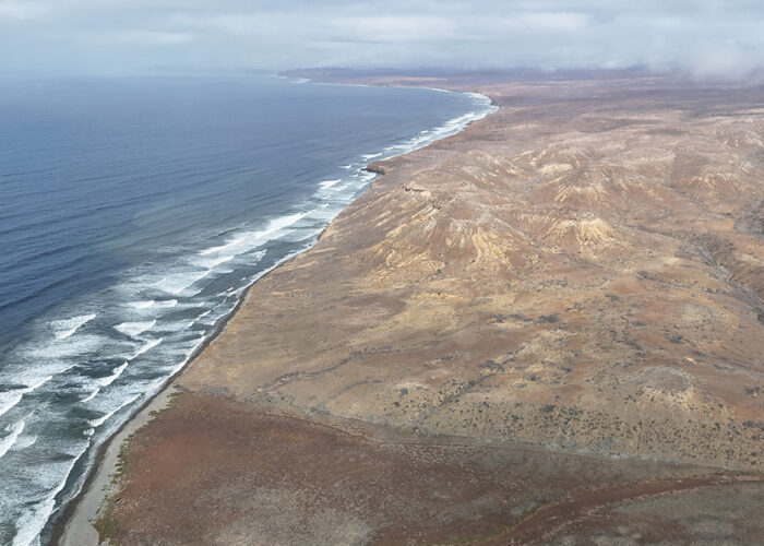 WILDCOAST