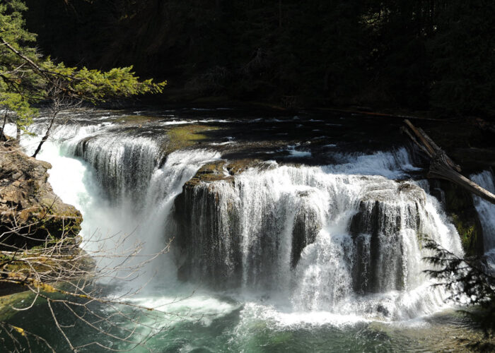 Washington Wild