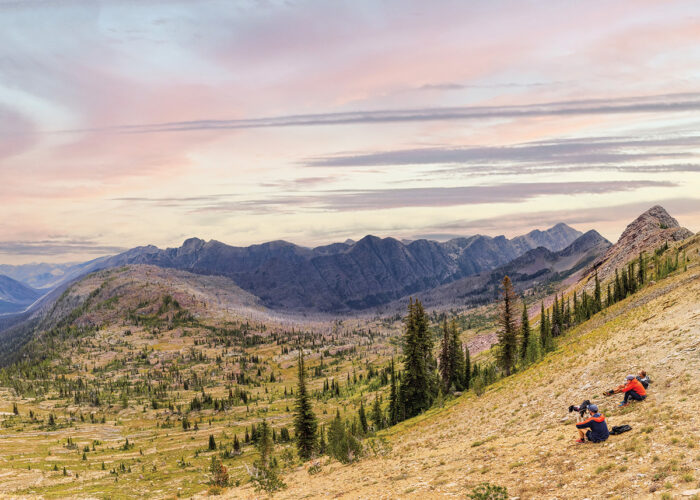Wild Montana